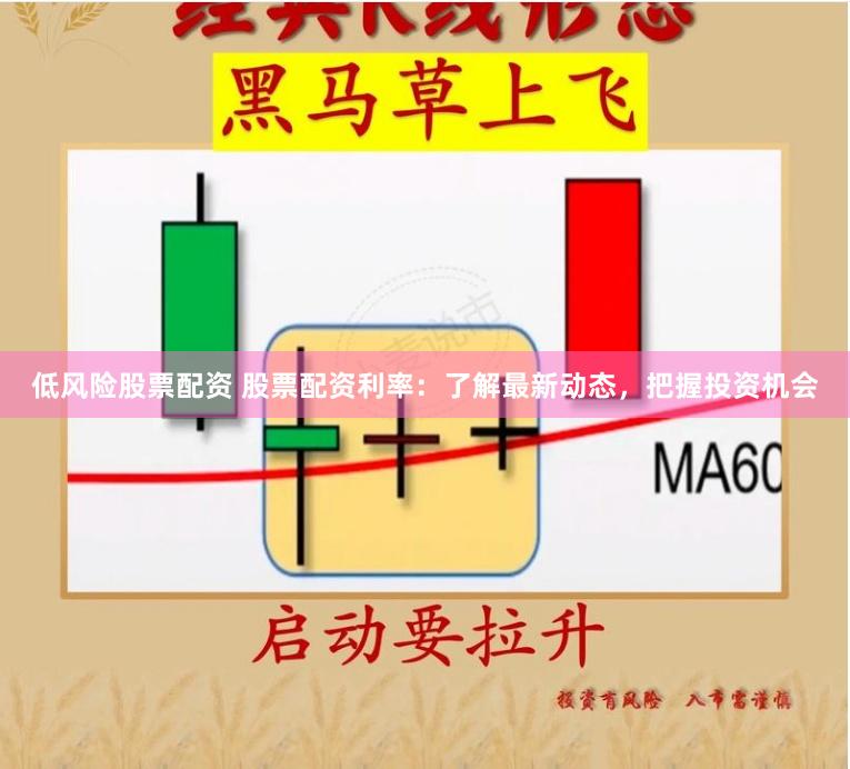 低风险股票配资 股票配资利率：了解最新动态，把握投资机会