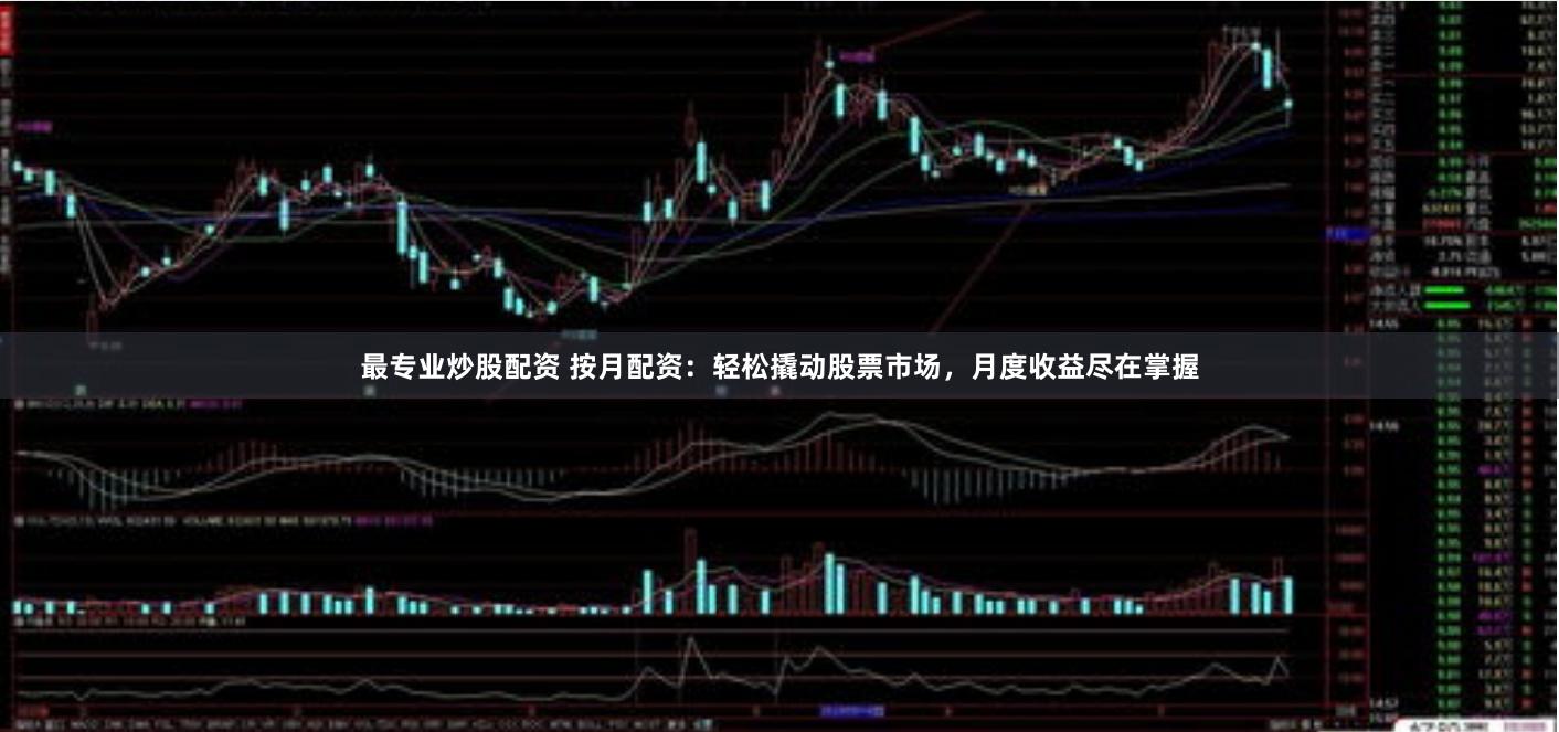 最专业炒股配资 按月配资：轻松撬动股票市场，月度收益尽在掌握