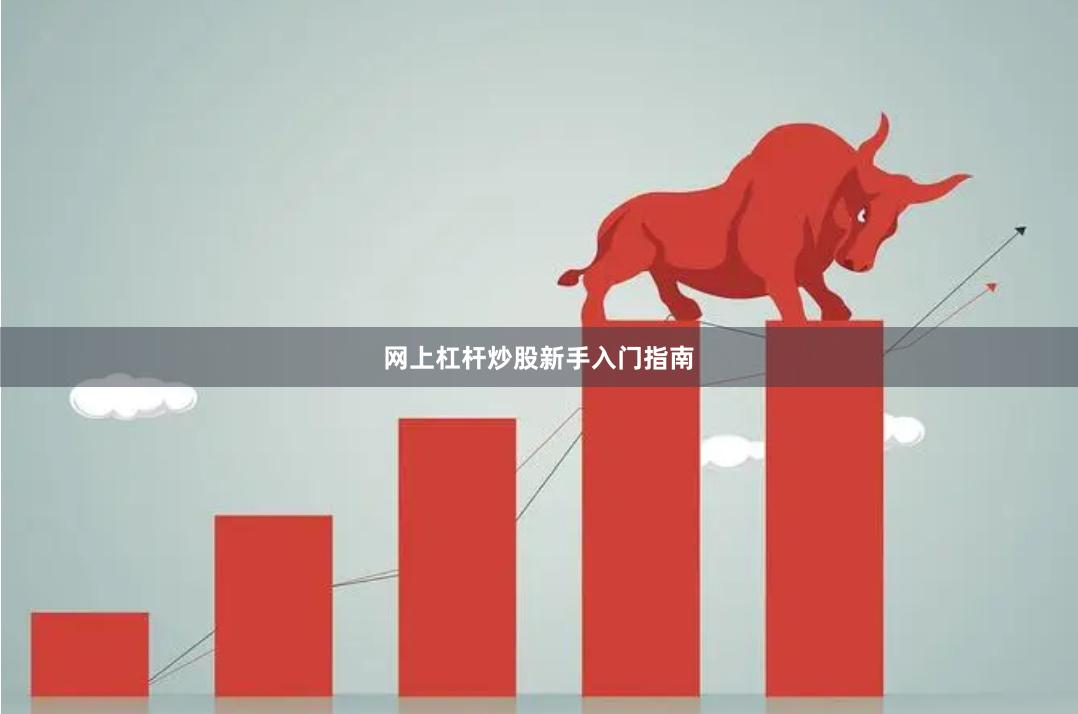 网上杠杆炒股新手入门指南